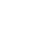 Nybroriddaren logotyp vit